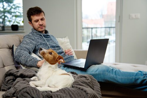 Man sitting on sofa in living room and using laptop, near lying dog. 